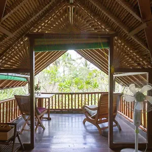 bali-firefly-bnb.ubudhotelsnow.com/